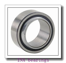 SL182205-C3 INA Cylindrical Roller Bearing