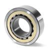 SL182205-C3 INA Cylindrical Roller Bearing #2 small image