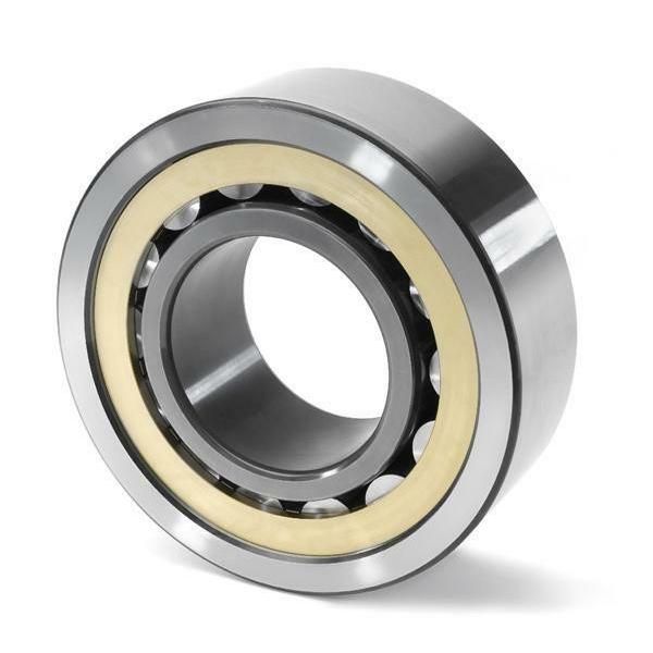SL182952 INA Cylindrical Roller Bearing #2 image