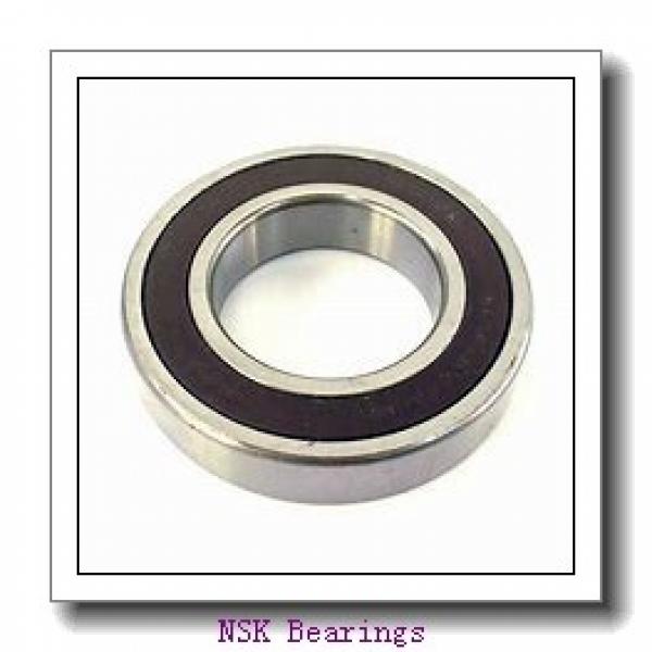 NUP313 EM NSK Cylindrical Roller Bearing #1 image
